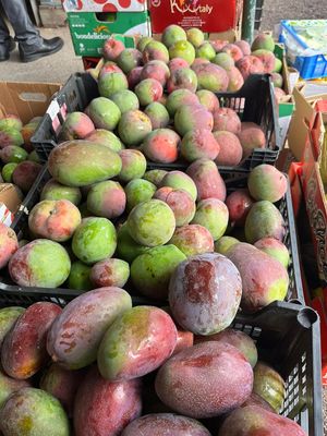  at Finca La Caldera in Tenerife