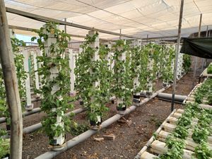  at Finca La Caldera in Tenerife