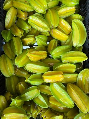  at Finca La Caldera in Tenerife