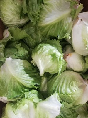  at Finca La Caldera in Tenerife