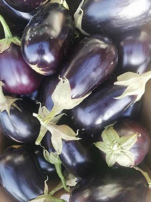  at Finca La Caldera in Tenerife