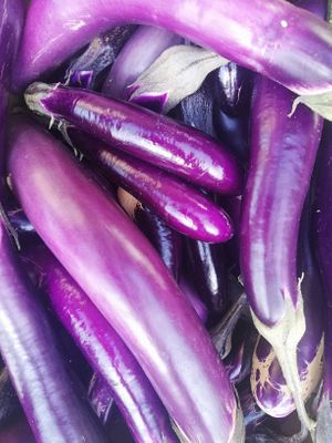  at Finca La Caldera in Tenerife