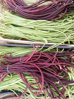  at Finca La Caldera in Tenerife