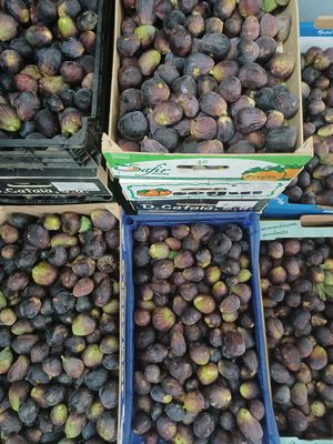  at Finca La Caldera in Tenerife