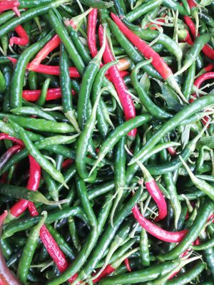  at Finca La Caldera in Tenerife