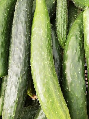  at Finca La Caldera in Tenerife