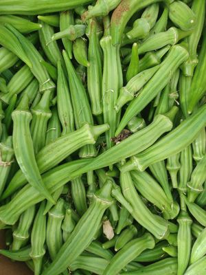  at Finca La Caldera in Tenerife