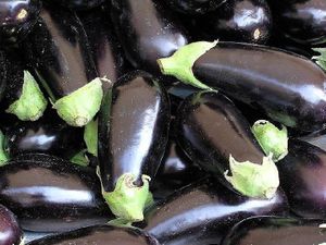 aubergines at Finca La Caldera in Tenerife