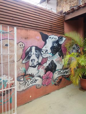  at Frutta Pao in Caraguatatuba