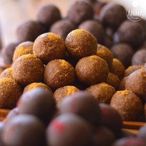 Vegan and suger free blissballs at Anima Pastelería in Vina Del Mar