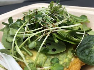 Well played  at ROOTED in Pleasant Hill