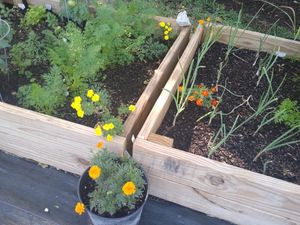 Beautiful organic Garden at Aguacate in Miami