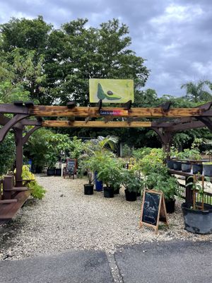 Outside at Aguacate in Miami