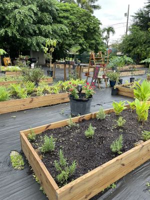 Garden at Aguacate in Miami