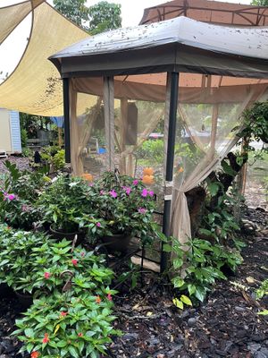 Shop at Aguacate in Miami