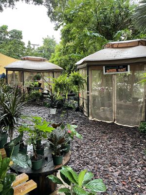 Plant sale at Aguacate in Miami