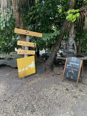 Animals at Aguacate in Miami