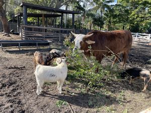 Sanctuary 😃 #Veganuary at Aguacate in Miami
