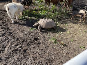 Sanctuary 😃 #Veganuary at Aguacate in Miami