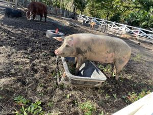 Sanctuary 😃 #Veganuary at Aguacate in Miami