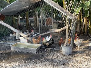 Sanctuary 😃 #Veganuary at Aguacate in Miami