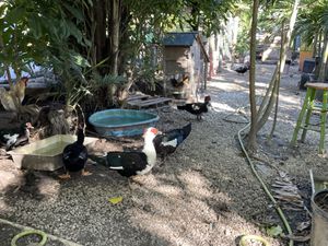 Sanctuary 😃 #Veganuary at Aguacate in Miami