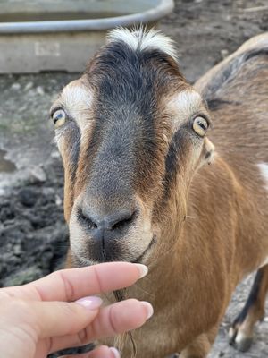   at Aguacate in Miami