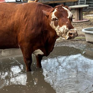   at Aguacate in Miami