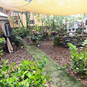   at Aguacate in Miami