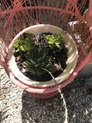   at Aguacate in Miami