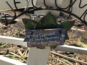   at Aguacate in Miami