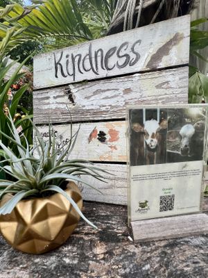   at Aguacate in Miami