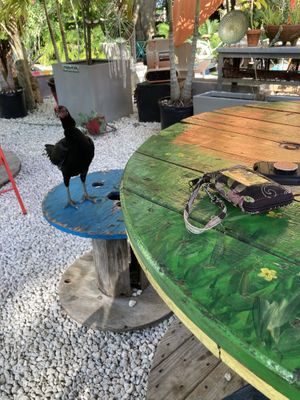   at Aguacate in Miami