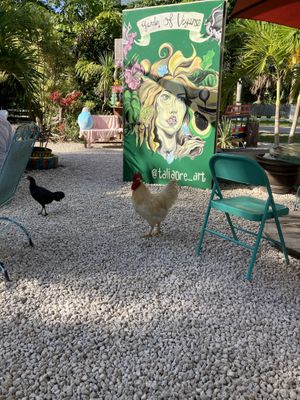   at Aguacate in Miami