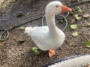 My new favorite person   at Aguacate in Miami