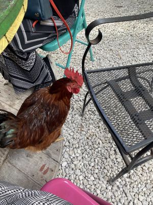   at Aguacate in Miami