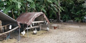  at Aguacate in Miami