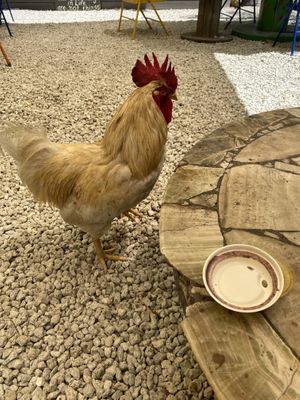 He wants to give me a tour!  at Aguacate in Miami