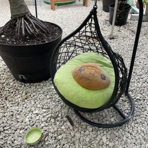   at Aguacate in Miami