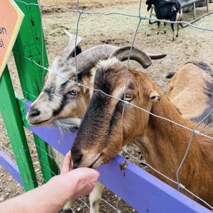   at Aguacate in Miami