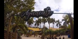 The entrance at Aguacate in Miami