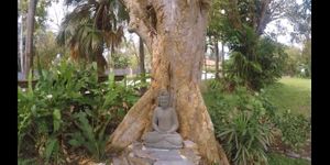 Buddha statue at Aguacate in Miami