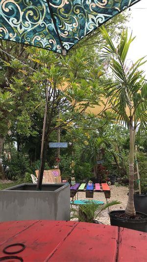 beautiful surroundings  at Aguacate in Miami