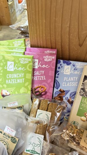 Vegan German chocolate   at Natural Foods Donguri in Kyoto