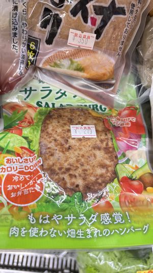 Vegan soy burger patty  at Natural Foods Donguri in Kyoto
