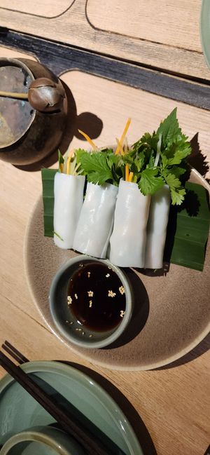 Fresh spring rolls at Sadhu in Hanoi