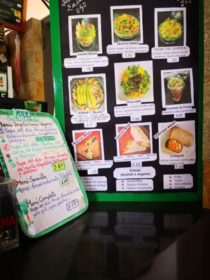 Salads and Bowls at Jungle Juice in Panama City