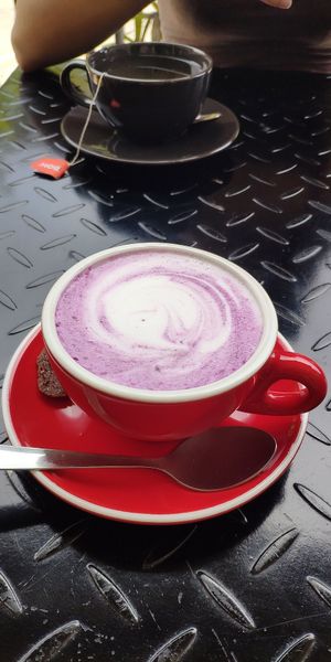 Sweet potato latte at The Mossy Forest Cafe in Tanah Rata