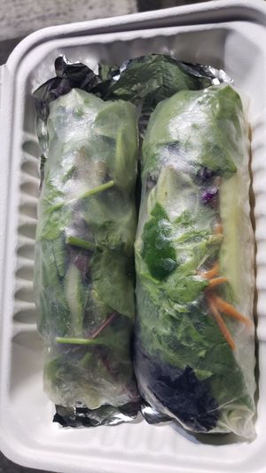 Togo fresh spring rolls at Thai Vegan III in Pacific Palisades