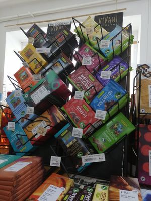 Rapunzel and Vivani at Sunflower in Ceske Budejovice